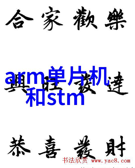 不锈钢波纹填料之谜揭开其在工程应用中的奥秘