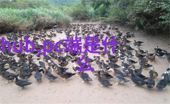 卫生级隔膜泵确保流体输送的清洁与安全